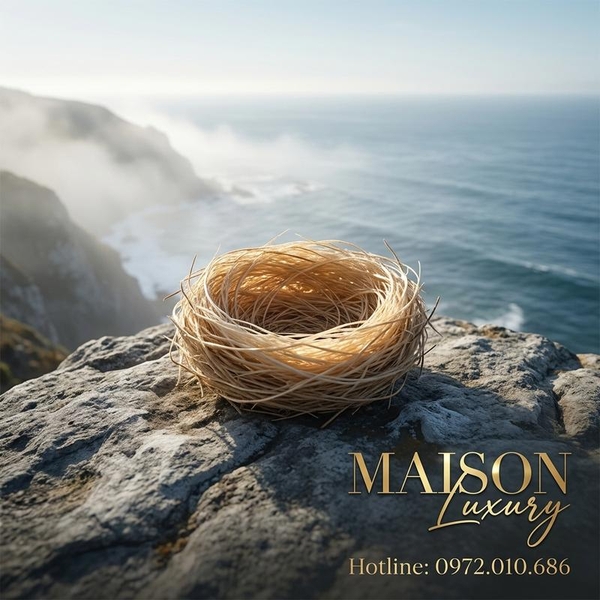 Yến Đảo - Món Quà Trường Tồn Và Mạnh Mẽ Từ Thiên Nhiên