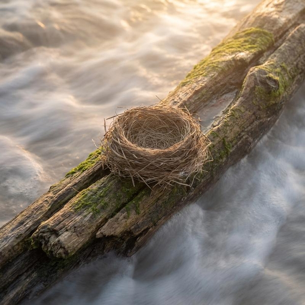 Cách Bảo Quản Tổ Yến Thô Khánh Hòa Giữ Trọn Vị Biển