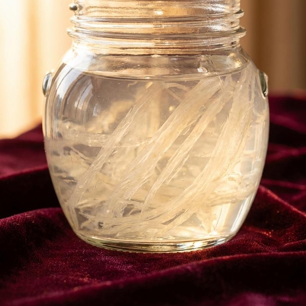 Bí Quyết Chọn Yến Sào: Tại Sao Ưu Tiên Yến Hũ Có Sợi Yến Dài?