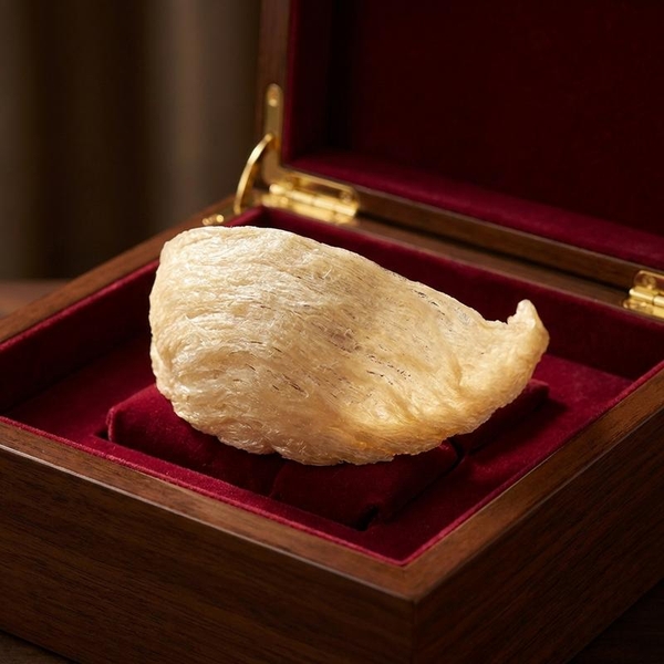 Tổ Yến Chữ C (Tai Yến) Là Gì? Tiêu Chuẩn Vàng Cho Một Hộp Quà Tặng VIP