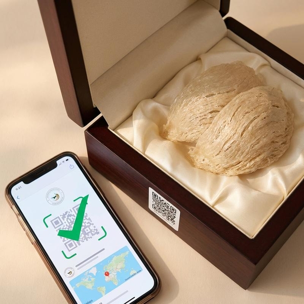 Hướng Dẫn Kiểm Tra Nguồn Gốc Yến Đảo Bằng Mã QR: Bí Quyết Cho Người Mới Bắt Đầu