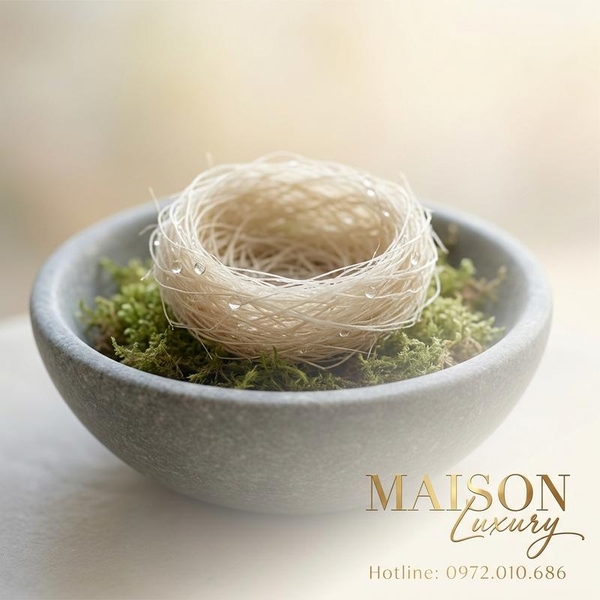 Liều Lượng Yến Sào Chuẩn Cho Người Già Phục Hồi Sau Đột Quỵ