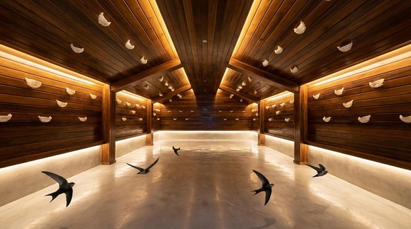 Kỹ Thuật Nuôi Yến Nhà Chuẩn Organic: Tuyệt Chiêu Kiểm Soát Chất Lượng & Vệ Sinh