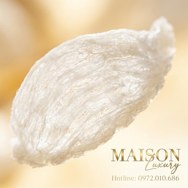 Tyrosine Trong Yến Sào: Chìa Khóa Phục Hồi Trí Nhớ Cho Người Già