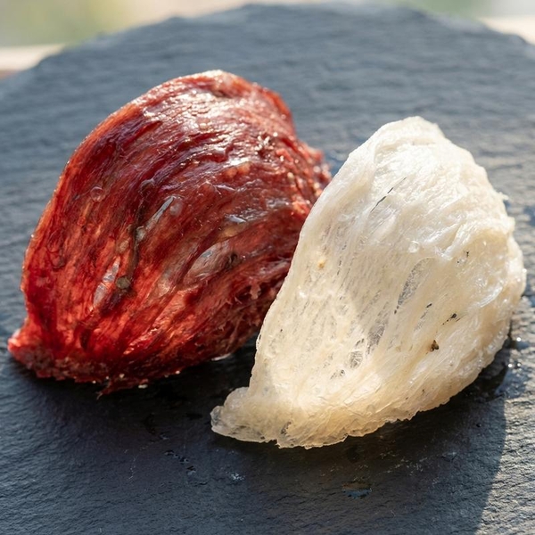 So Sánh Yến Huyết Đảo Và Yến Trắng Đảo: Loại Nào Thực Sự Bổ Dưỡng Hơn?