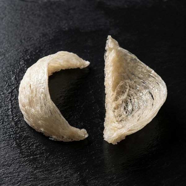 Tổ Yến Góc vs. Tổ Chữ C: Tiết Kiệm Chi Phí Hay Đánh Đổi Dinh Dưỡng?