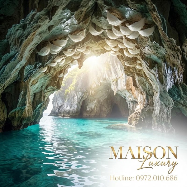 Yến Đảo Tự Nhiên: Giải Pháp Vàng Cho Phục Hồi Chức Năng Phổi