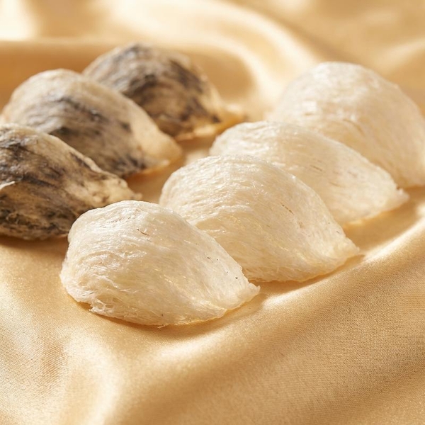 Bảng Giá Yến Sào Khánh Hòa Mới Nhất: Phân Tích Chuyên Sâu Yến Thô, Tinh Chế & Yến Huyết