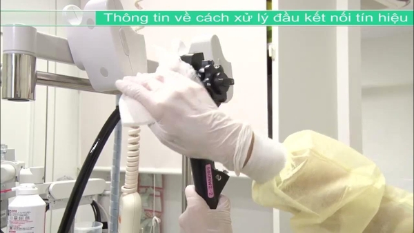 Cách xử lý đầu kết nối