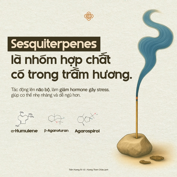 Tác dụng của trầm hương