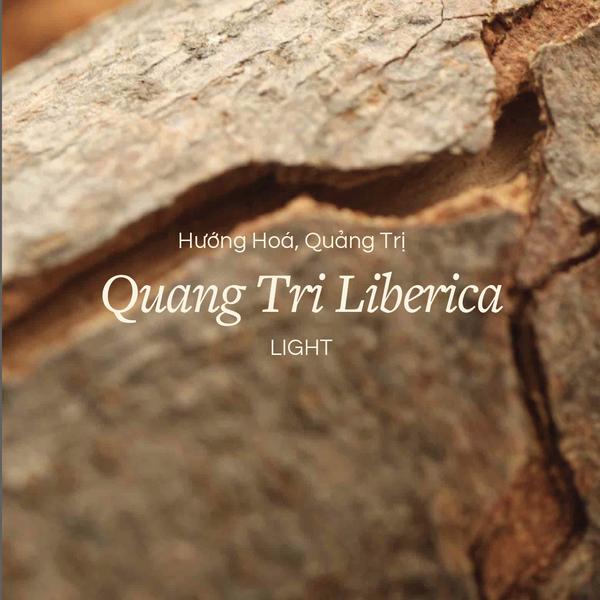 Quảng Trị Liberica