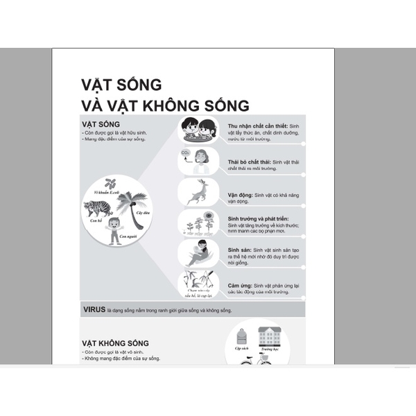 Sách - Phát triển năng lực Khoa học tự nhiên 6 - Tập 1 - Chính hãng CCbook