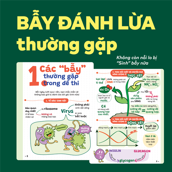 Sách P.H.A.O Sinh học Ôn luyện thi tốt nghiệp THPT, ĐGNL - Trợ thủ đắc lực lấy gốc lí thuyết | WinBook