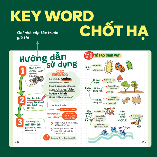 Sách P.H.A.O Sinh học Ôn luyện thi tốt nghiệp THPT, ĐGNL - Trợ thủ đắc lực lấy gốc lí thuyết | WinBook