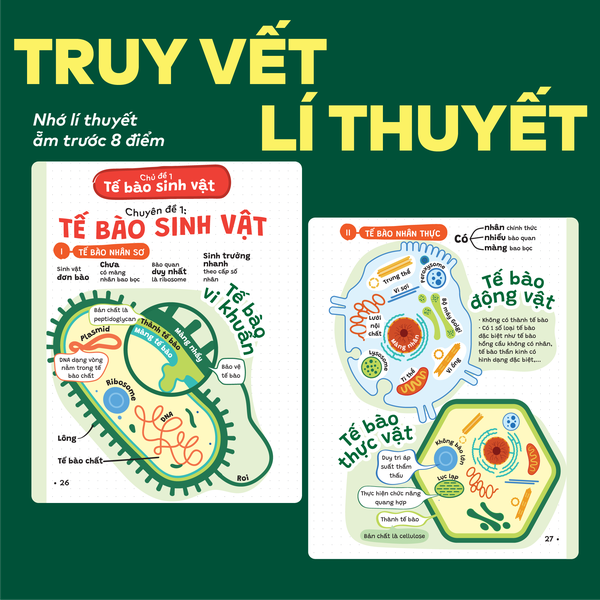Sách P.H.A.O Sinh học Ôn luyện thi tốt nghiệp THPT, ĐGNL - Trợ thủ đắc lực lấy gốc lí thuyết | WinBook