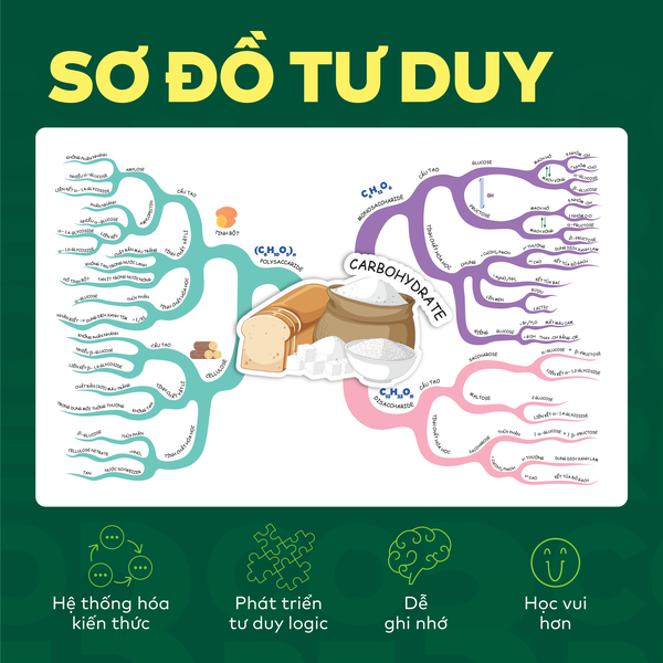 Bộ Đột phá tư duy Hoá học 12 (2 tập)