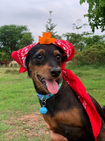 MILO