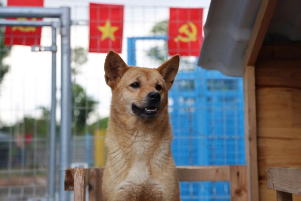 Tôm