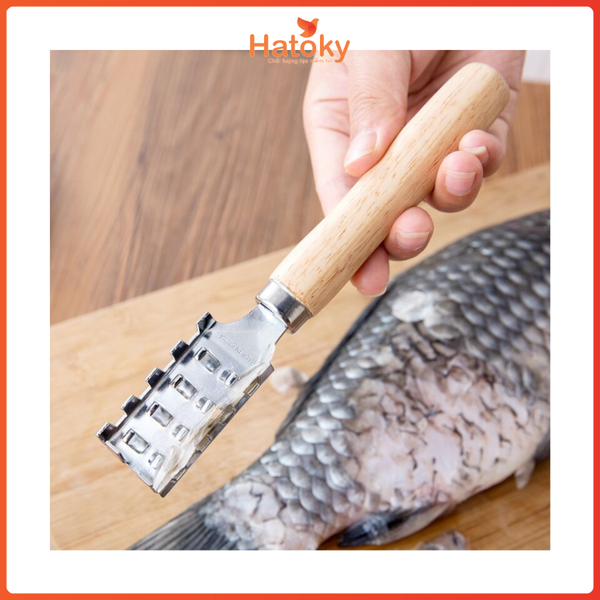 Đánh vẩy cá-0349-081