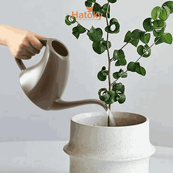 Bình Tưới Cây Tiện Lợi Nakaya