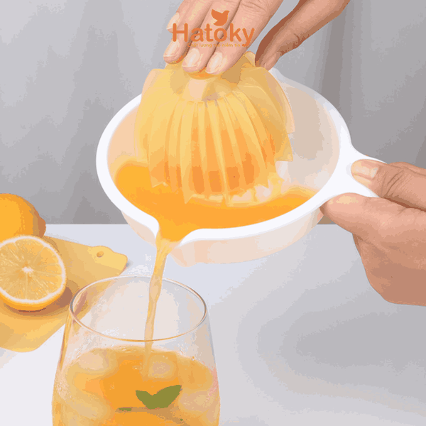 Dụng Cụ Vắt Cam Chanh Sanada