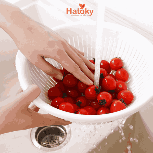 Rổ nhựa lưới Sanada Fresh 21cm