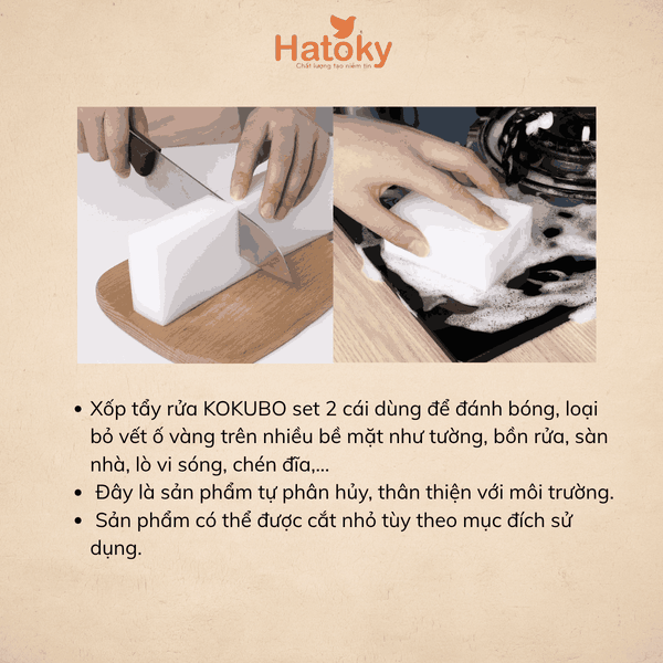 Mút cọ rửa
