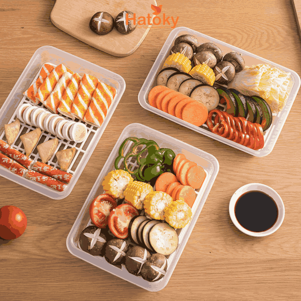 Khay úp cốc, đĩa SANADA D554