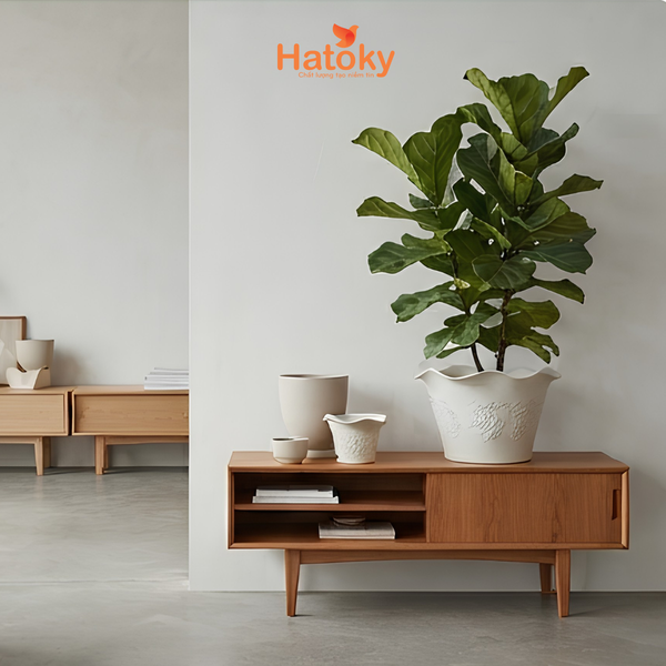 Chậu trồng cây-578
