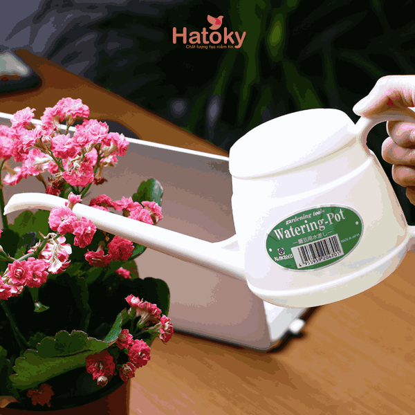 Bình tưới cây-V047