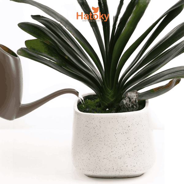 Bình Tưới Cây Tiện Lợi Nakaya