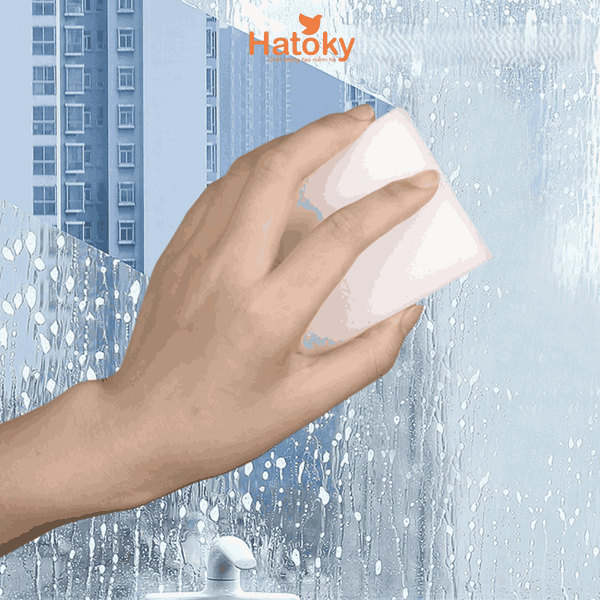 Mút cọ rửa