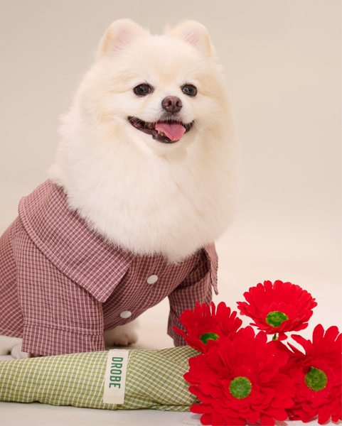 Pet Plaid Shirt - Rose-wood