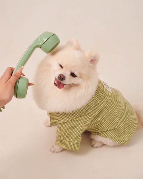 Pet Plaid Shirt - Lime