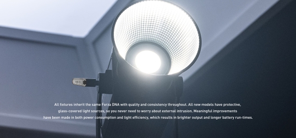 den led nanlite forza 300 ii