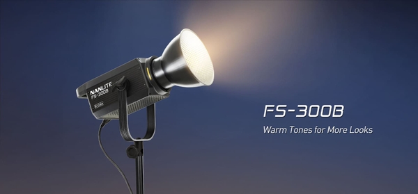 den led nanlite fs-300b