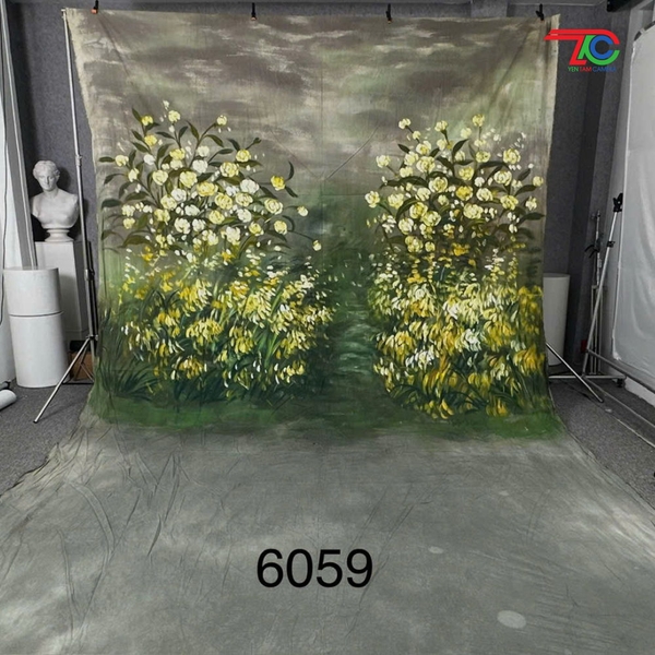 phong vai loang 3m x6m y6059