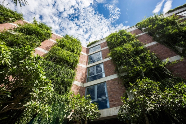 Biophilic Design là gì? Cách ứng dụng hiệu quả trong trang trí không gian tại Việt Nam