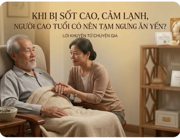 Khi bị sốt cao hoặc cảm lạnh người cao tuổi có nên tạm ngưng ăn yến?