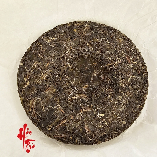 Cách phân biệt phổ nhĩ