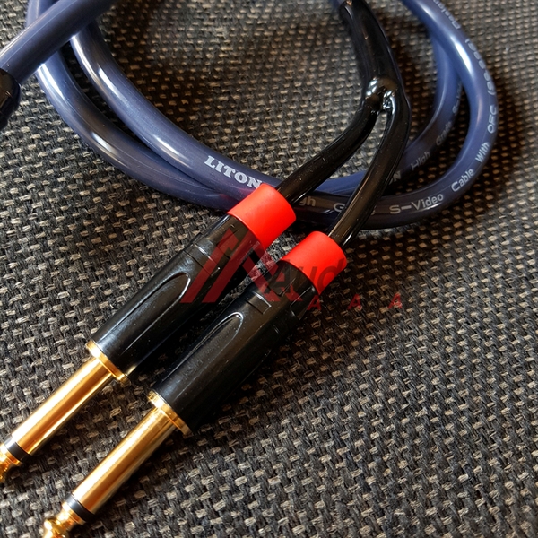 Cáp 3.5 ra 2 đầu 6 ly Liton , Giá 01 sợi