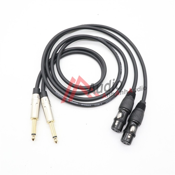 Cáp Canon cái ra 6 ly dây đồng nguyên chất, giá 02 sợi