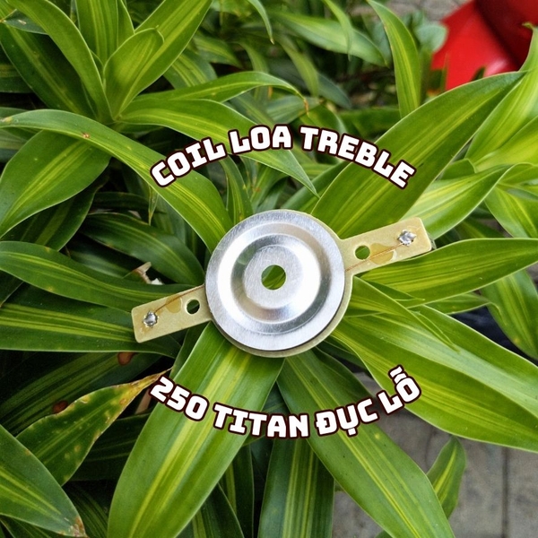 Coil 250 màng titan đục lỗ
