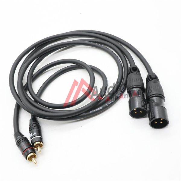 Cáp canon cái ra AV , giá 02 sợi