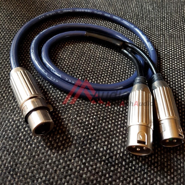 Cáp Canon Cái Ra 2 Đầu Jack Canon Đực Liton