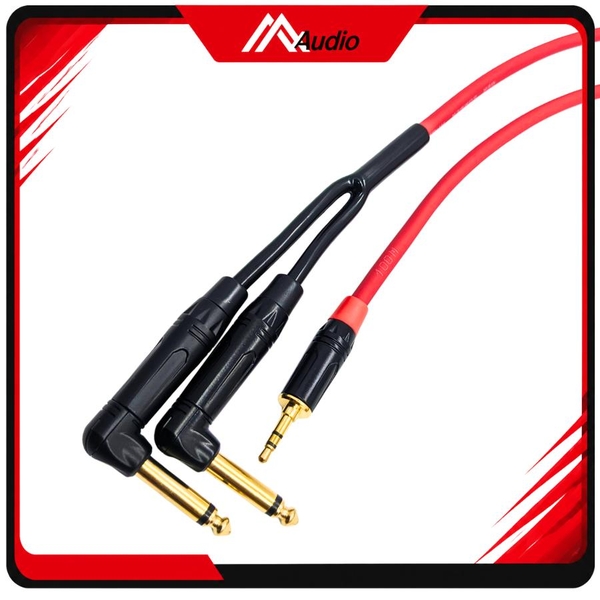 Dây 3.5 mm ra 2 đầu 6 Ly Cong