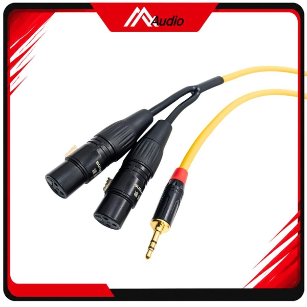 Dây 3.5mm ra 2 đầu canon Cái