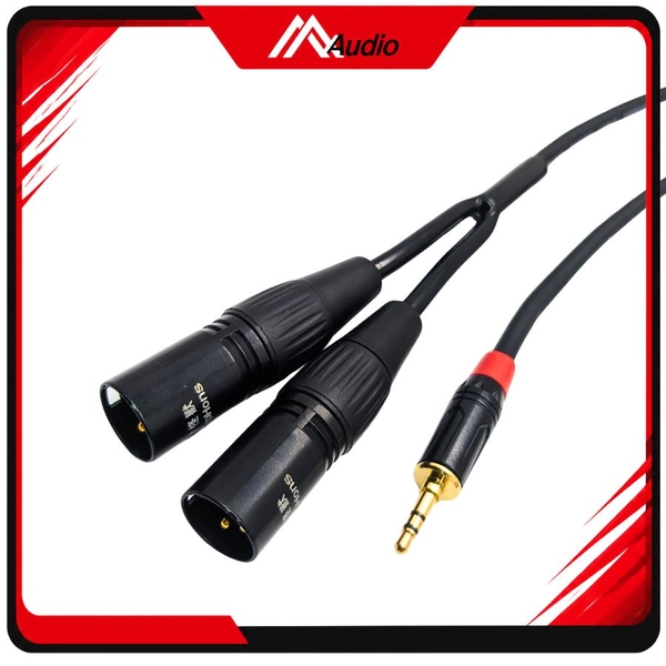 Dây 3.5mm ra 2 đầu canon Đực