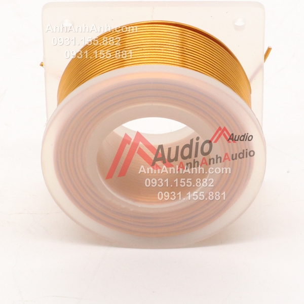 Cuộn cảm 2455-1.0-1.0