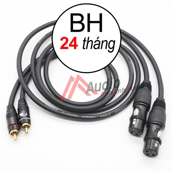 Cáp canon cái ra AV , giá 02 sợi